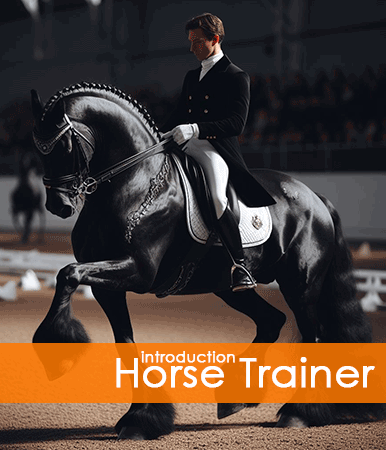 Horse trainer can introduce themselves on FriesianMarket.com