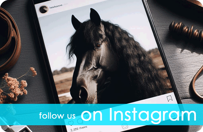 FriesianMarket Instagram | Friesian Horses