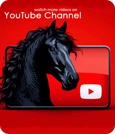 FriesianMarket YouTube Channel