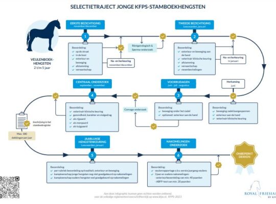 KFPS stallion selection in clear infographics